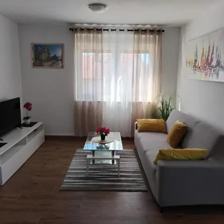 Kokic * 布罗达里卡